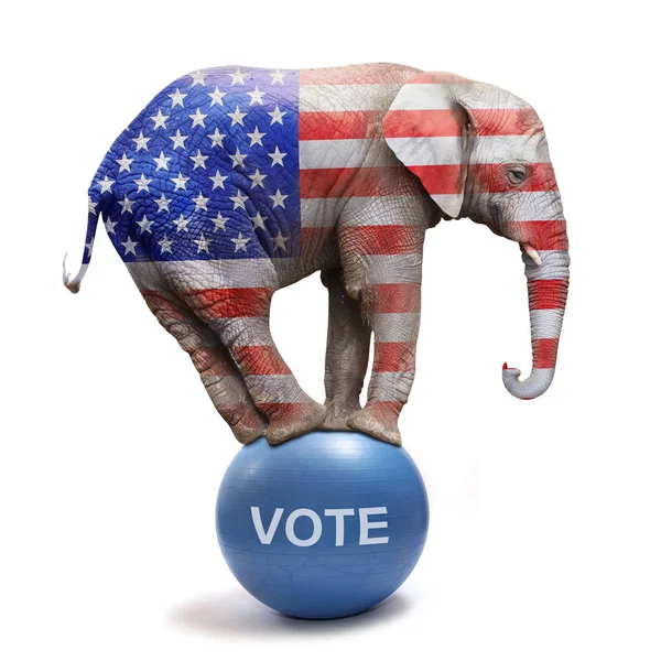 Republikánus, elszigetelt fehér elefánt. — Stock Fotó