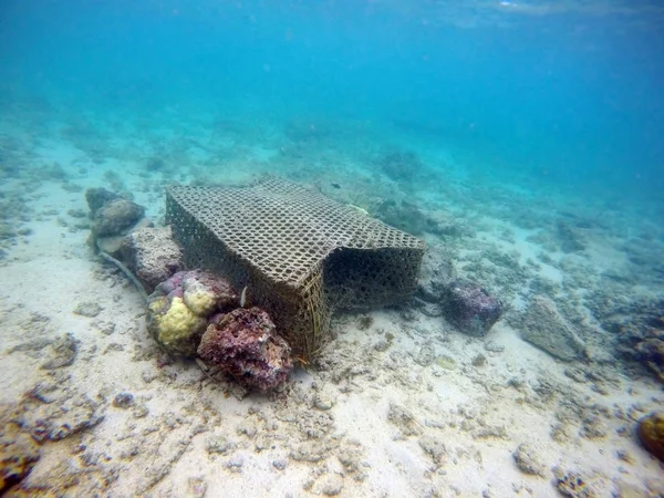 モーリシャス島付近の伝統的な手作りトラップ ロブスターのサンゴ礁にキャッチの魚の鍋の珍しい水中撮影 釣りとリズムの動きの原住民のための主要な源の収益は します — ストック写真