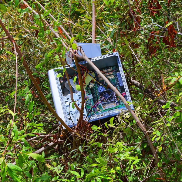 Ordenador sobrecargado en vegetación —  Fotos de Stock