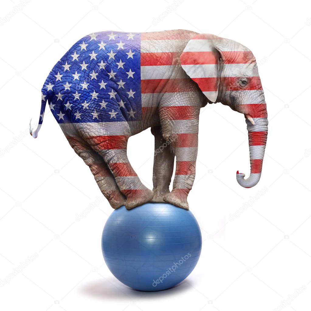 Republican elephant isolated on white.