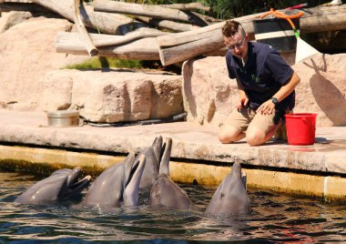 Nürnberg Almanya - 18 Ağustos 2016: Yunuslar ile egzersiz, atlama, Dolphinarium hayvanat Nürnberg oynayan tanımlanamayan eğitmenler. Eğlenceli ve eğlence hayvanlarla.