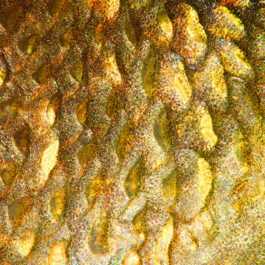 Close up of fish skin with scales clipart