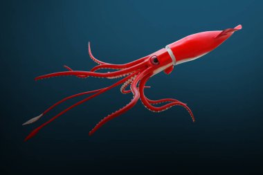 The Giant Squid - Architeuthis clipart