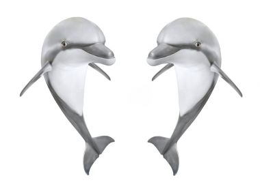 Şişe burunlu yunus atlama