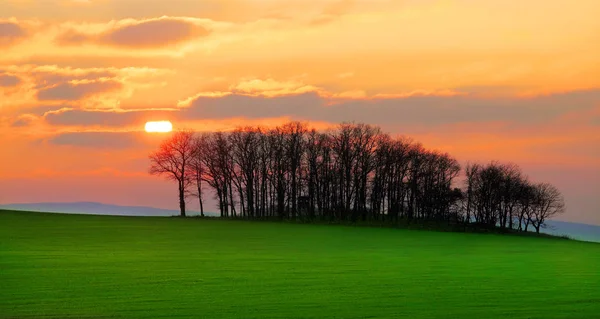 Resto Bosque Paisaje Agrícola Siluetas Árboles Contra Hermoso Atardecer Paisajes — Foto de Stock