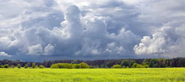 Erster Frühlingssturm Über Grünem Weizenfeld Landwirtschaft Und Wetter Tschechien Panoramablick — Stockfoto