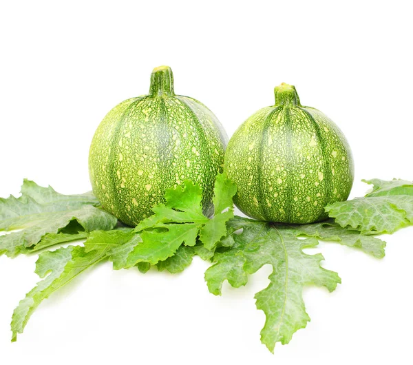 Eight ball Squash or Zucchini or Round Courgette — Stock Photo, Image