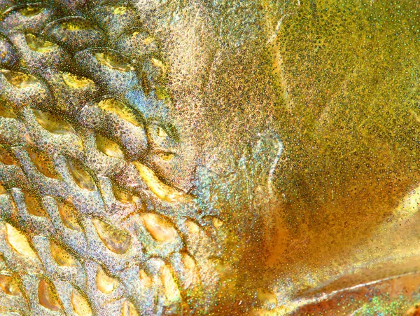 Close up of fish skin with scales — Stock Photo, Image