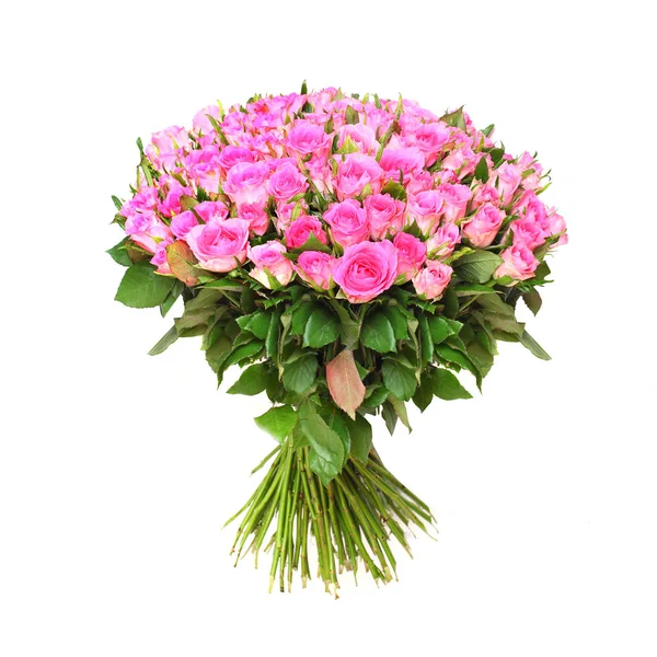 Hundert Rosa Rosen Blumenstrauß Auf Weißem Hintergrund Großes Geschenk — Stockfoto