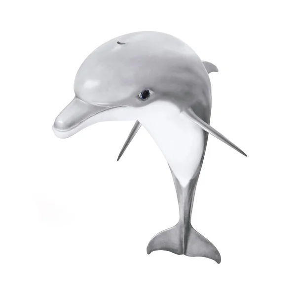 Jumping Bottlenose Dolphin isolated on white. — Stock Photo, Image
