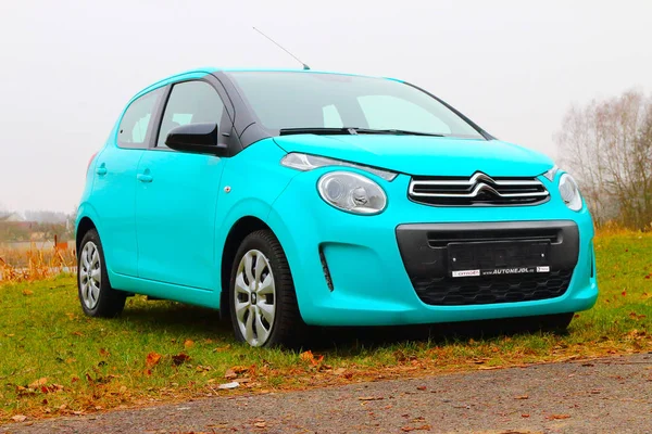 Küçük Fransız otomobil ağaç kavunu C1