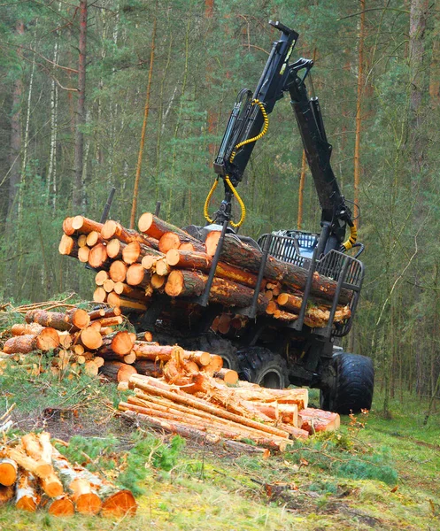 De oogstmachine die in een bos werkt. — Stockfoto
