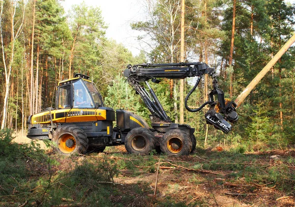 Skogshuggare med moderna skördare arbetar i skogen — Stockfoto