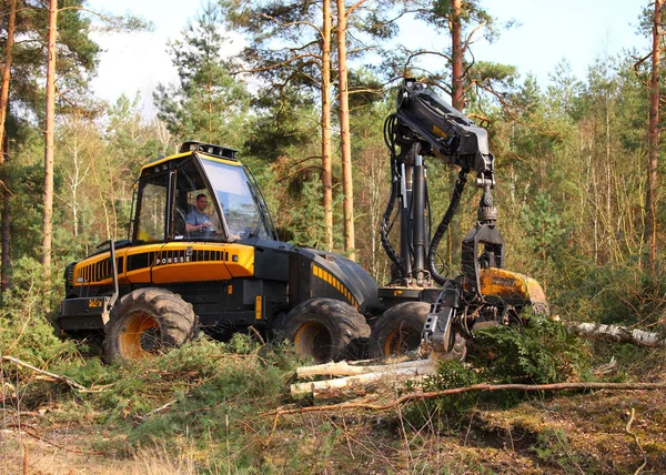 Holzfäller mit modernem Harvester bei der Arbeit im Wald — Stockfoto