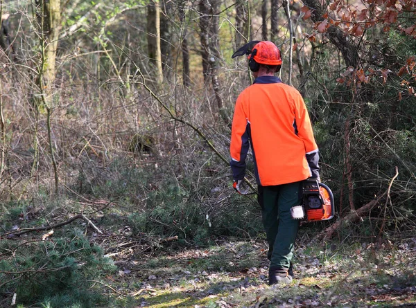 El leñador trabajando en un bosque . — Foto de Stock