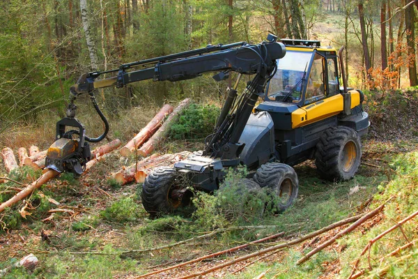 Skogshuggare med moderna skördare arbetar i skogen — Stockfoto