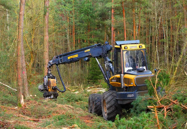 modern hasat ile tanımlanamayan oduncu 