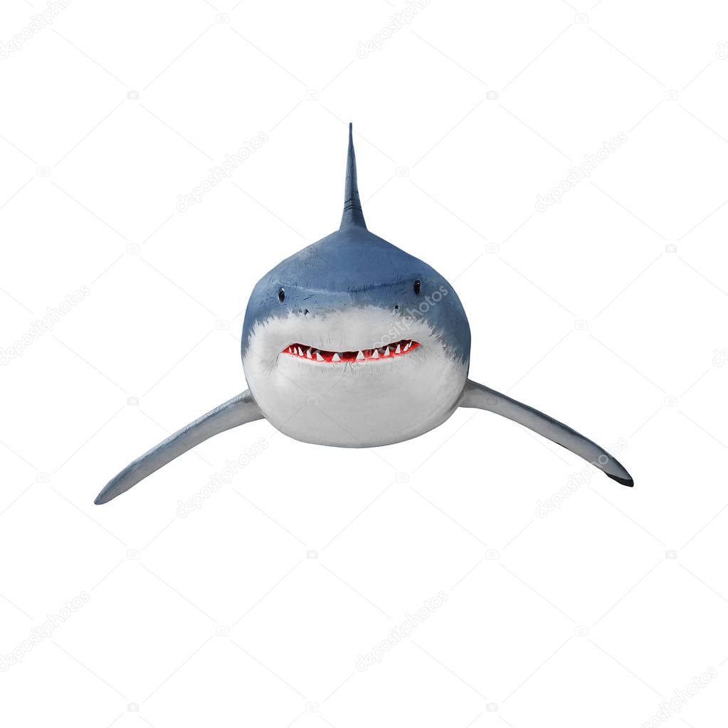 The Great White Shark - Carcharodon carcharias isolated on white.