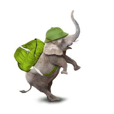 Yeşil sırt çantası ile genç fil.