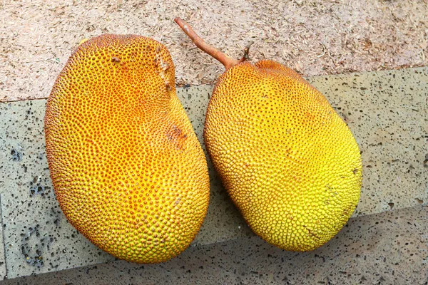 Fresh Jackfruit Artocarpus Heterophyllus Una Buena Fuente Vitamina Fruto También — Foto de Stock