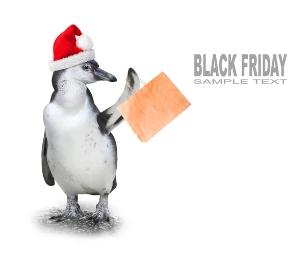 Funny penguin with santa's cap
