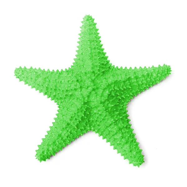 Common Caribbean Starfish Oreaster Reticulatus — Stock Photo, Image