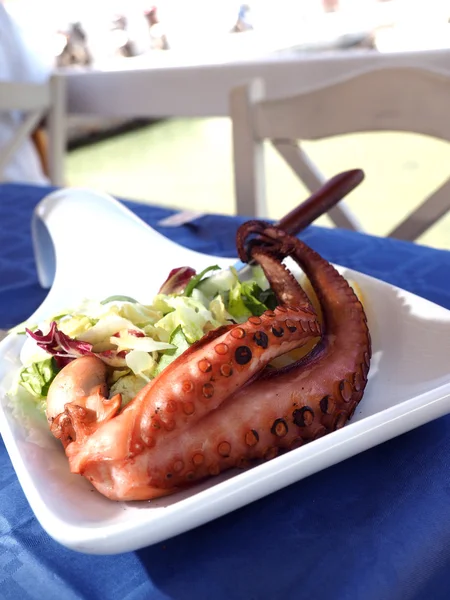 Grilled octopus as seen in Greek Island Sifnos taverna — Stock Photo, Image