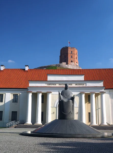 Leitartikel das neue Arsenal und gediminas Burgturm Vilnius beleuchtet — Stockfoto