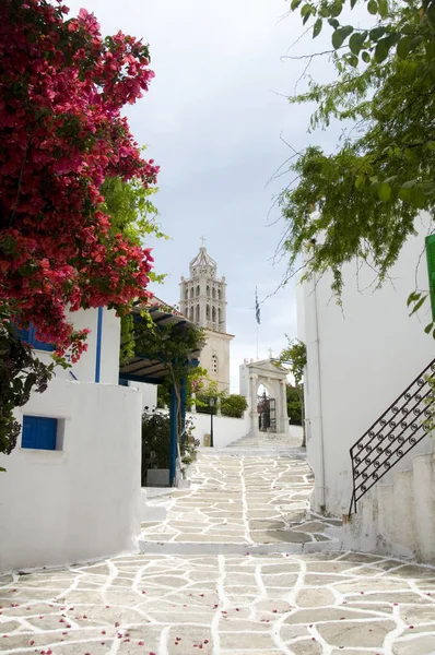 Λεύκες Πάρου ελληνική σκηνή με την εκκλησία της Αγίας Τριάδας και φθοριούχων — Φωτογραφία Αρχείου