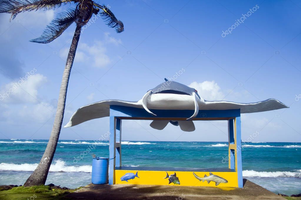 nueva parada de autobús en la carretera principal Sally Peachie Corn