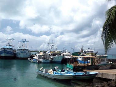 editoryal tekneler Brig Bay Mısır Island Nicaragua
