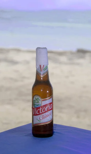 Редакційна пляшку пива Nicaraugn національної Вікторія Classica на — стокове фото