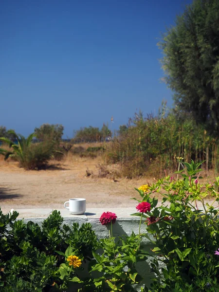 Сифнос греческий остров сцена чашка кофе белая стена с осенью — стоковое фото