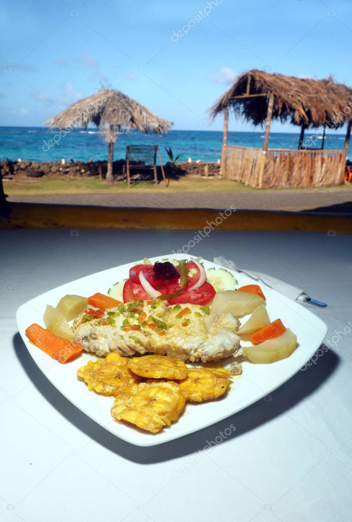 fresh fish fillet with tostones, salad and native vegetables  Ca