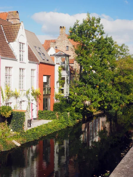 Bruges Belgium historic houses on canal Europe — Stock Photo, Image