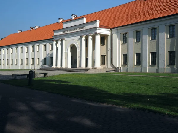 Musée national de Lituanie entrée Vilnius — Photo