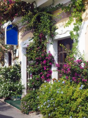 doğal açık çiçekler Monterosso Cinque Terre İtalya Euro bina