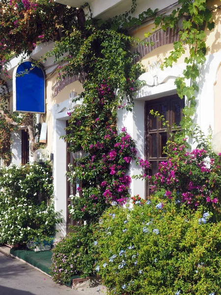 Мальовничі будівлі стійка квіти Монтероссо Чінкве Терре Італії євро — стокове фото