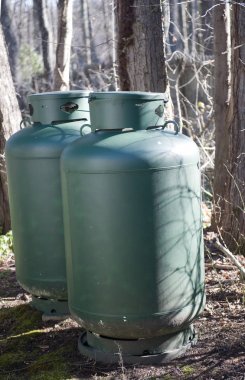 ormanda özel evde yüzme havuzu ısıtıcı için propan gaz tankları