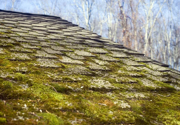 Bladeren Huis Goot Met Mos Dak — Stockfoto