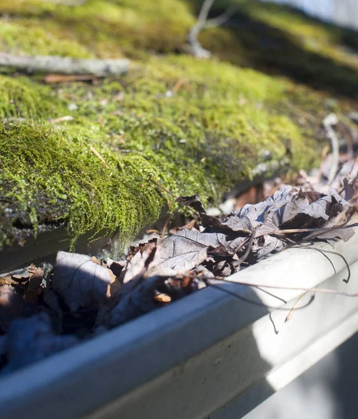 Листья в канаве с мхом на крыше — стоковое фото