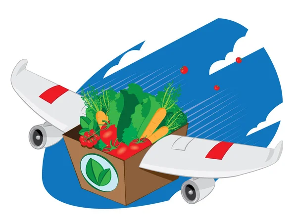 Самолет крылатый пакет коробки полный здоровой и свежей пищи — стоковый вектор