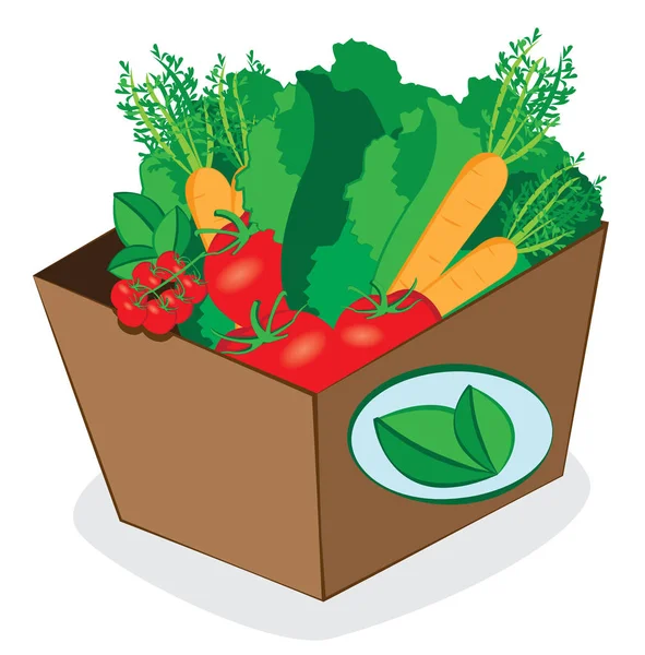 Emballage en carton plein d'aliments sains et frais — Image vectorielle