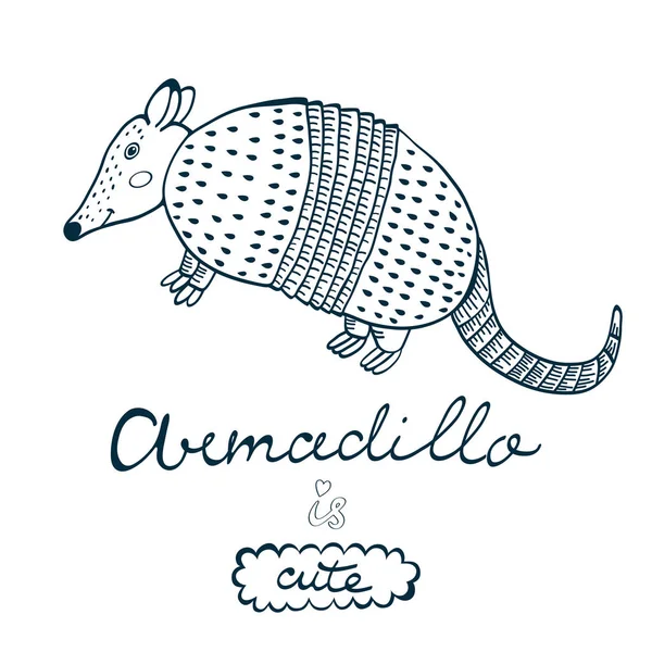 Armadillo şirin. — Stok Vektör