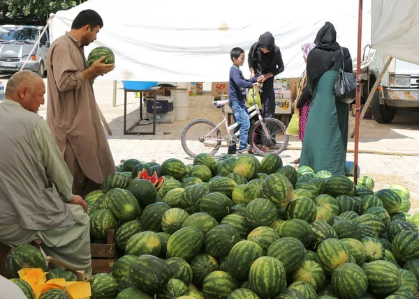 Usbekischer Einwanderer pflückt eine Wassermelone auf dem Bauernmarkt — Stockfoto