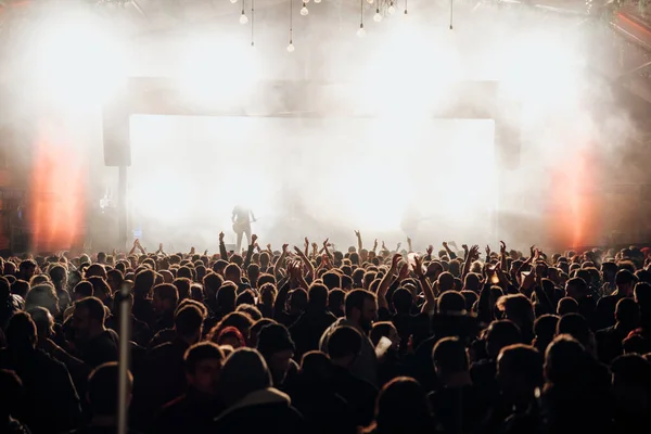 A crowd of people in a life music show in Barcelona, Spain during the summer of 2019