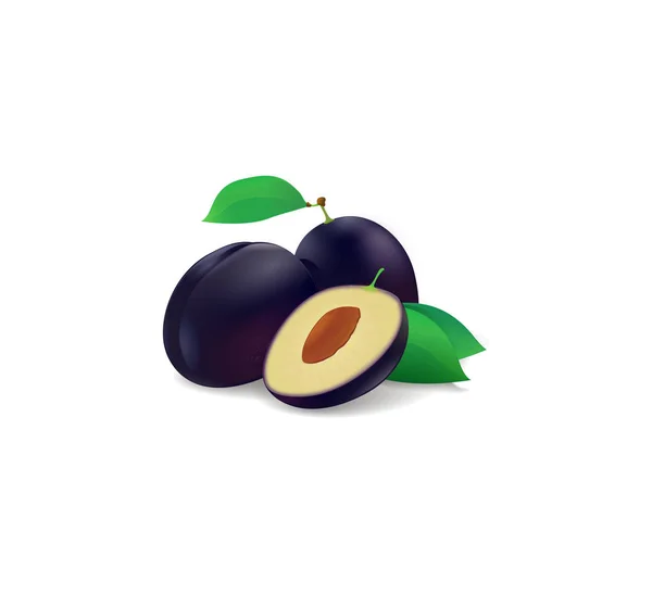 Plum Vector Fruit Objekt — Stock Vector