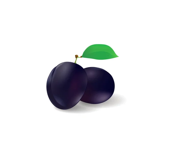 Plum Vector Fruit Objekt — Stock Vector