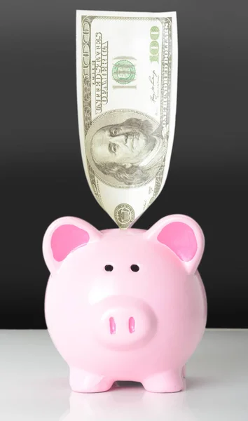 Piggy bank with 100 dollars — Stock Photo, Image