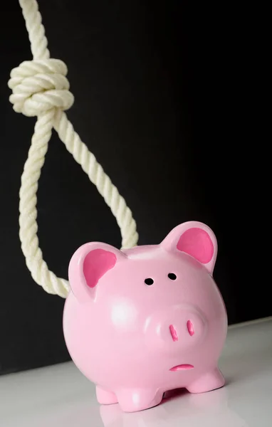 Hang the piggybank — Stock Photo, Image